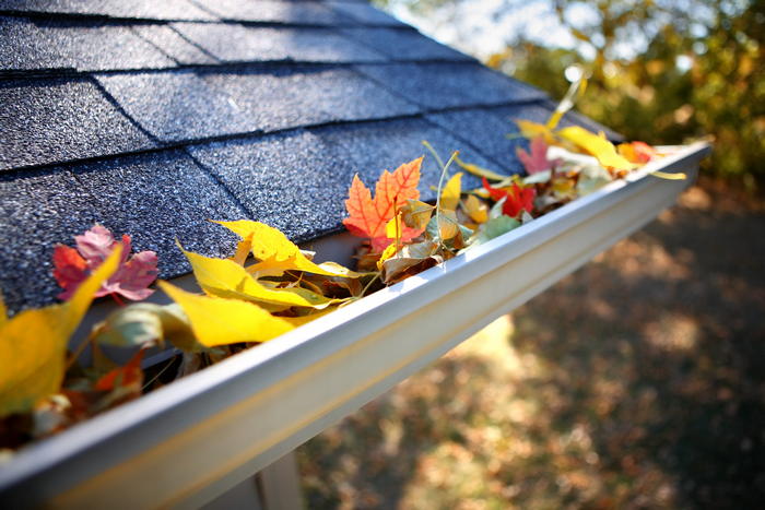 West Seattle Rain Gutters